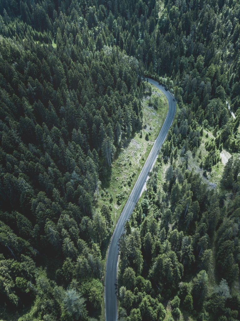 TGS Baltic have successfully defended the interests of VĮ Valstybinių miškų urėdija