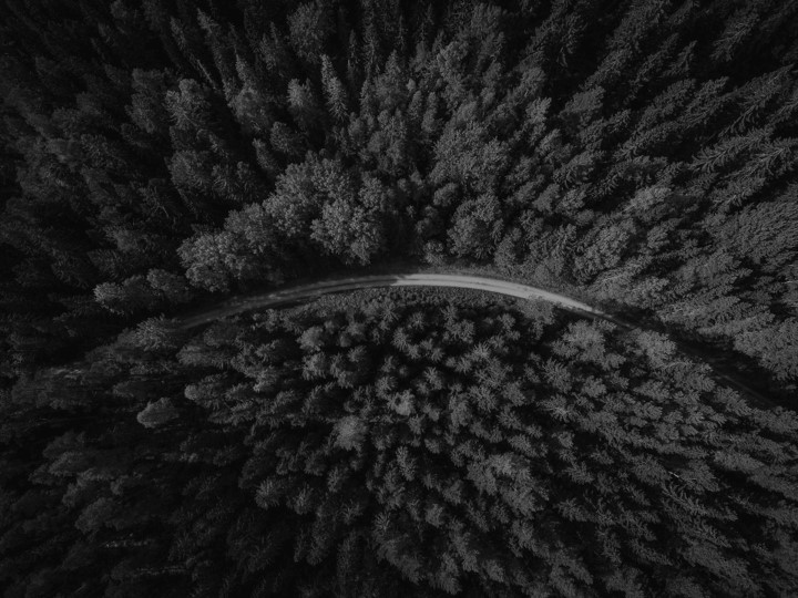 TEGOS liitus Vastutustundliku Ettevõtluse foorumiga