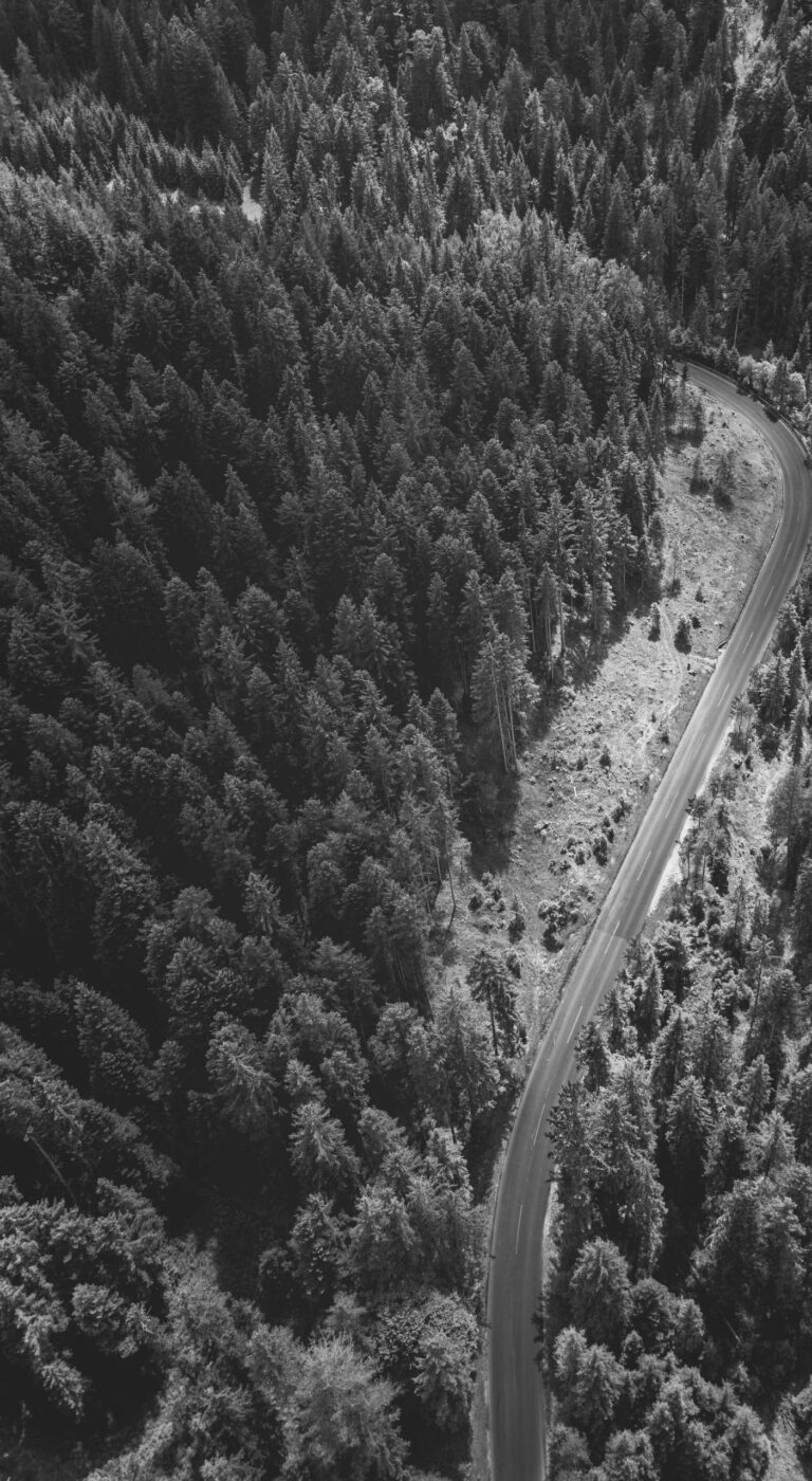 Kui Arno isaga koolimajja jõudis, kaalusid rahva esindajad kooli tulevikku: sulgeda, mitte sulgeda, sulgeda, mitte sulgeda…