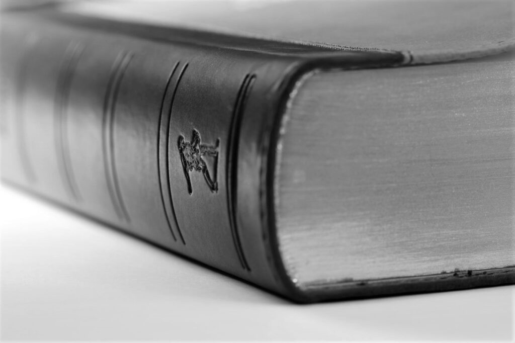 Advokaadibüroo TEGOS partneriks nimetati Triin Kaurov